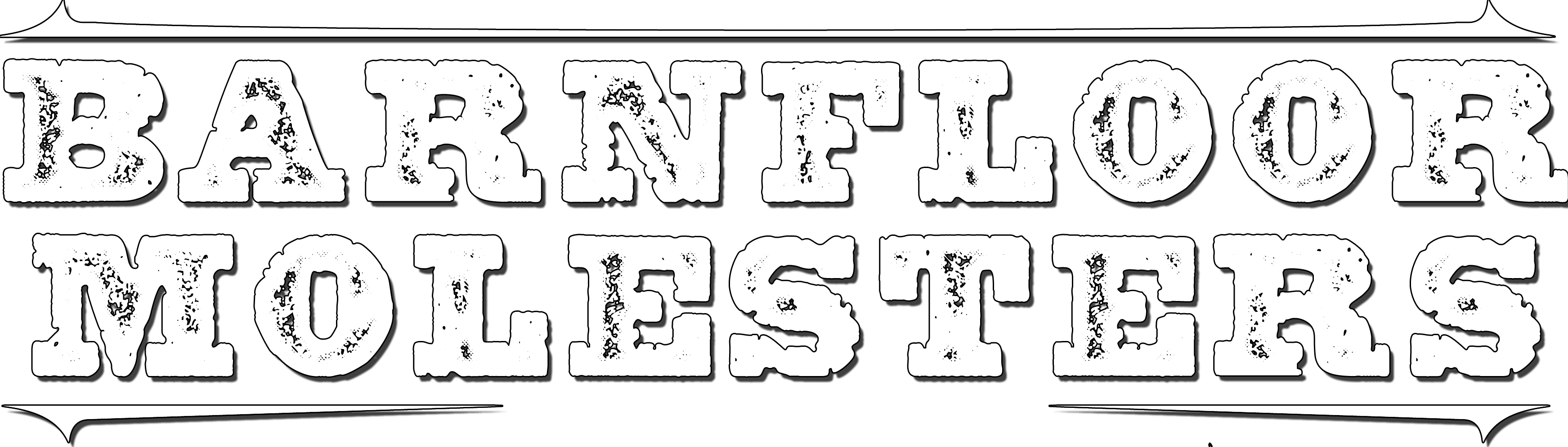 BFM Country Line Dance Zagreb